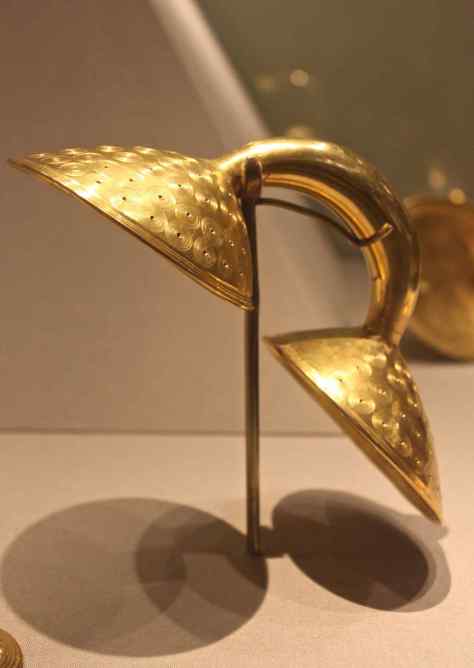 Fibula: Gold Dress Fastner . Photo by Reena Ahluwalia